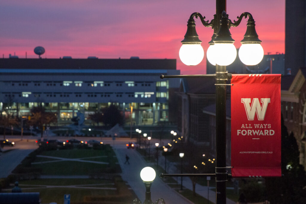 Campus light pole at UW-Madison.